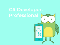 C# Developer.Professional