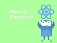 React.js Developer