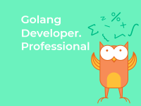 Golang Developer. Professional