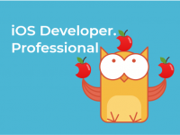 iOS Developer. Professional