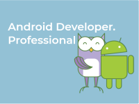 Android Developer. Professional