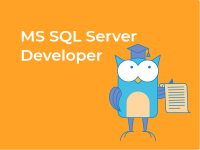 MS SQL Server Developer